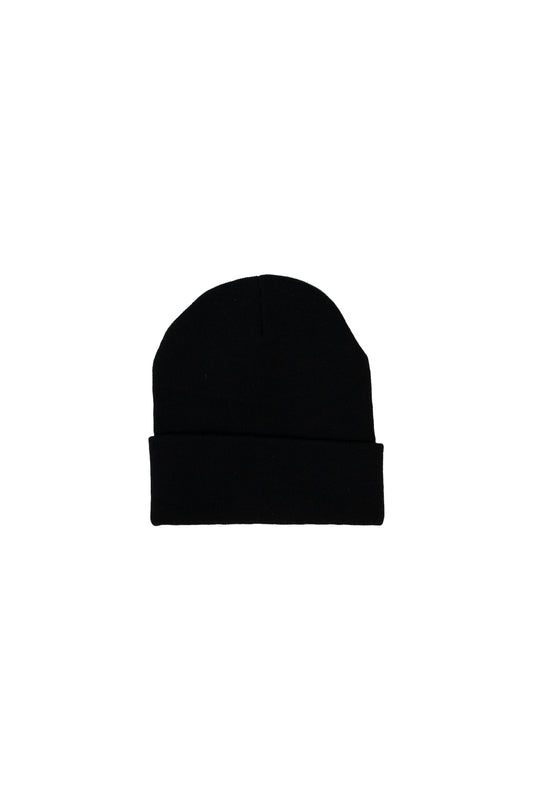 Matty Boy Sex Records Patch Beanie