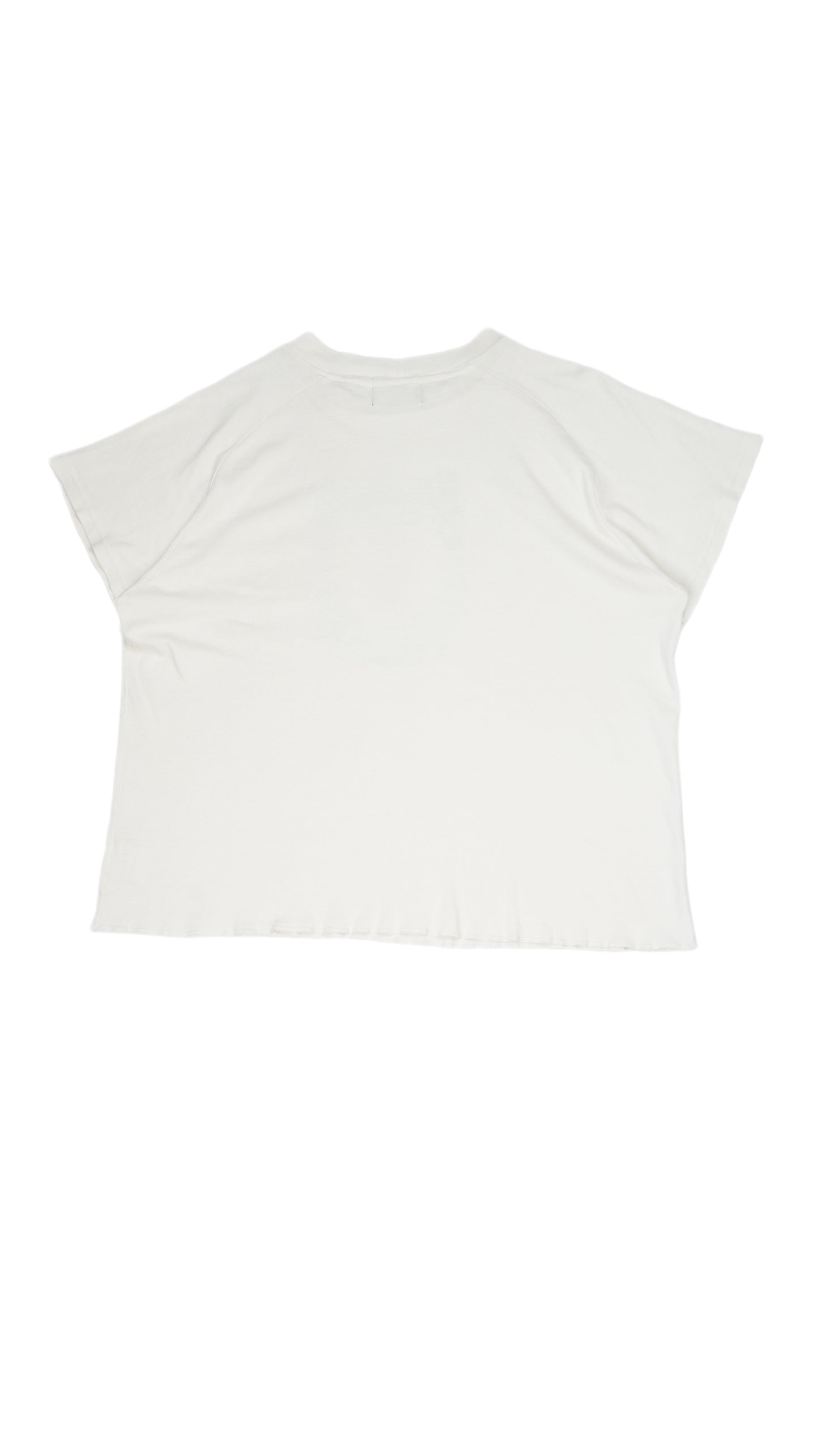 Erotica Raglan T-Shirt