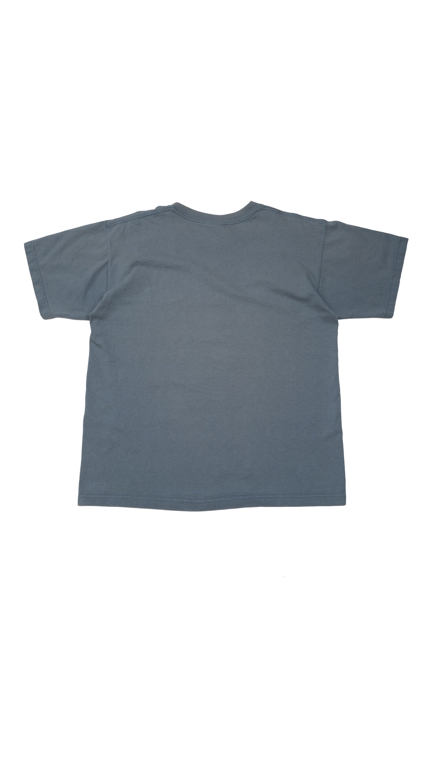 Pornstars Dig Audis T-Shirt