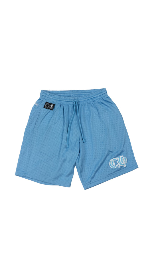 Blue Mesh Shorts