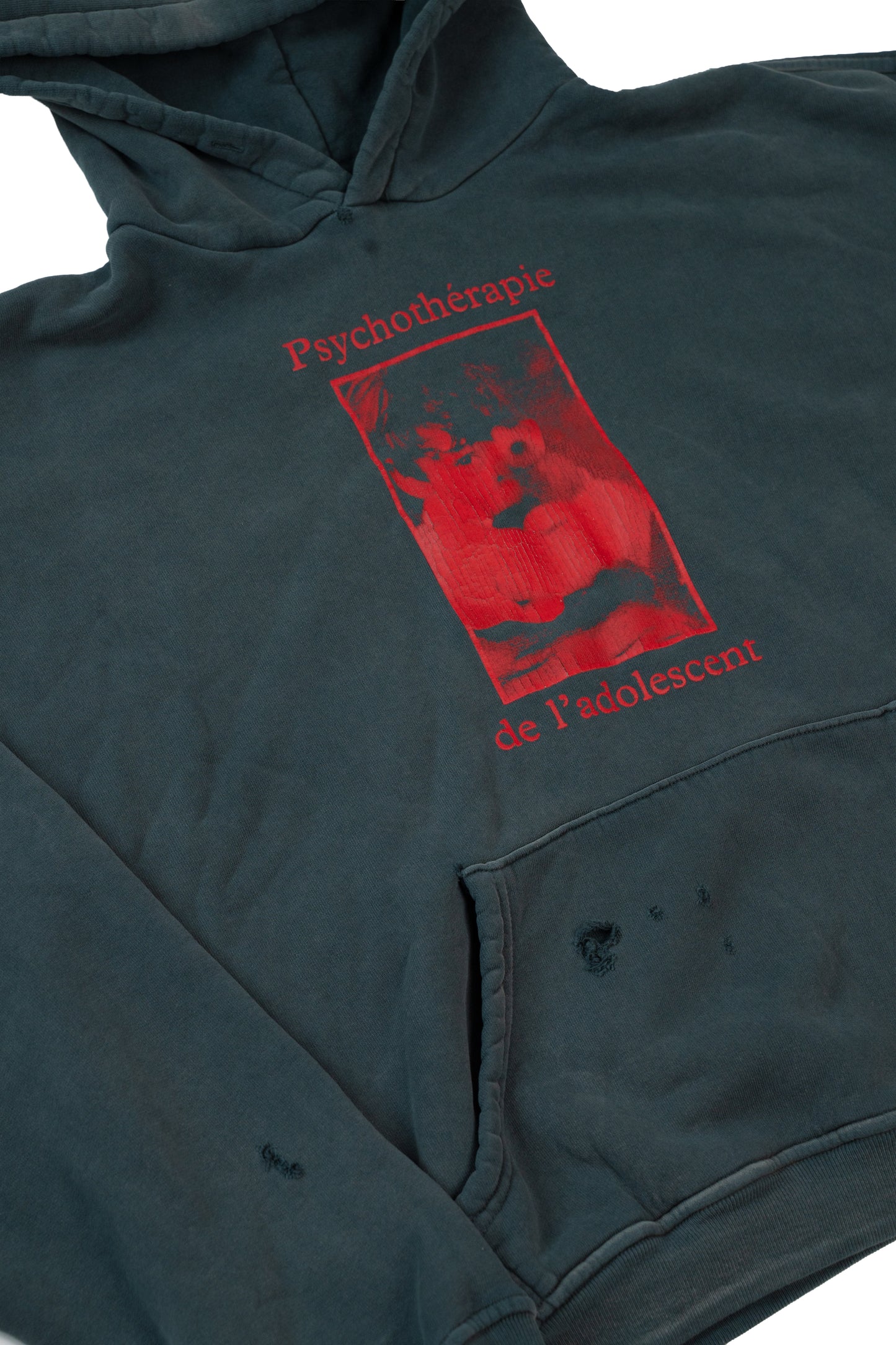 Psychothérapie de L'adolescent Hoodie