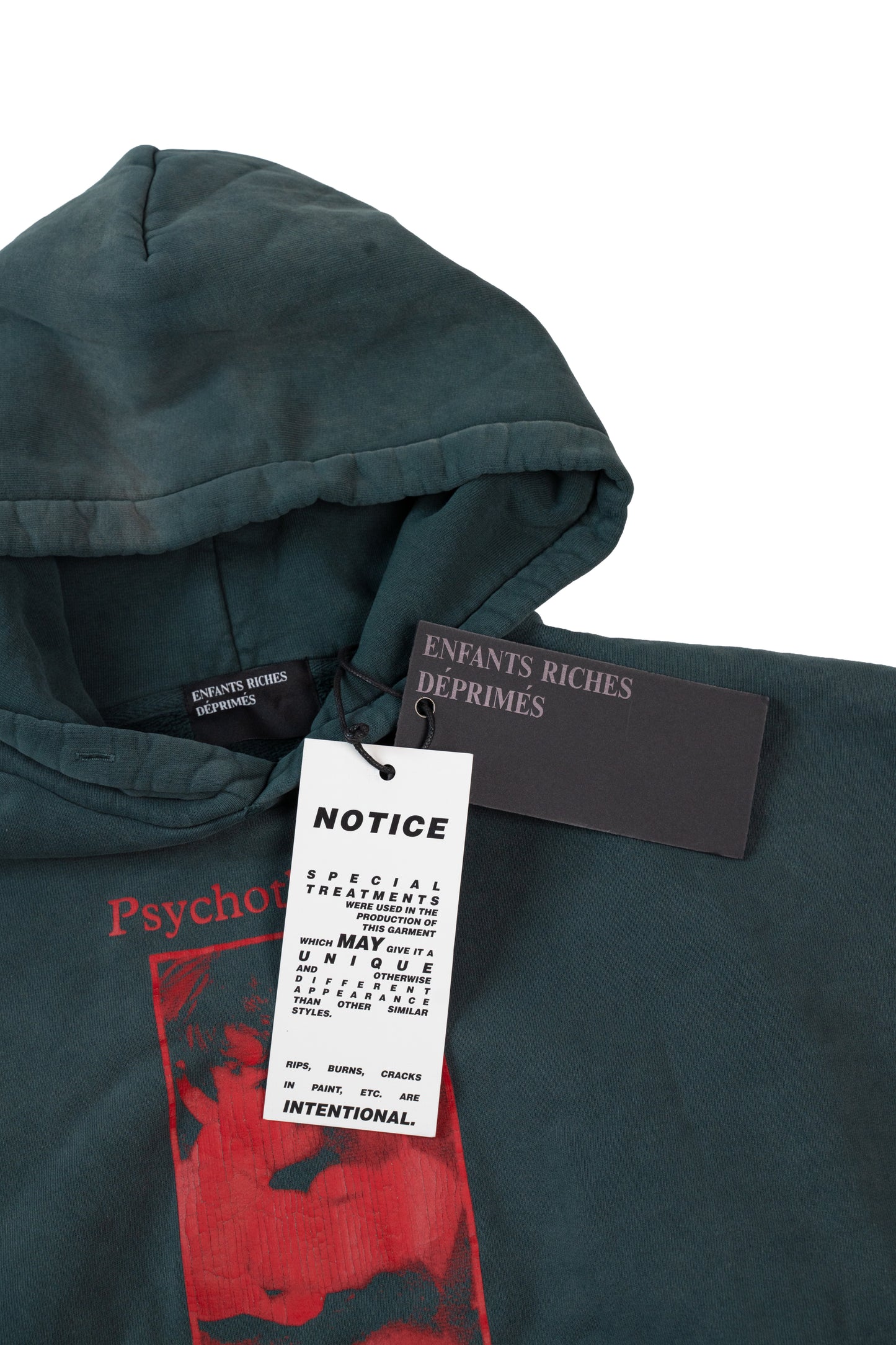 Psychothérapie de L'adolescent Hoodie