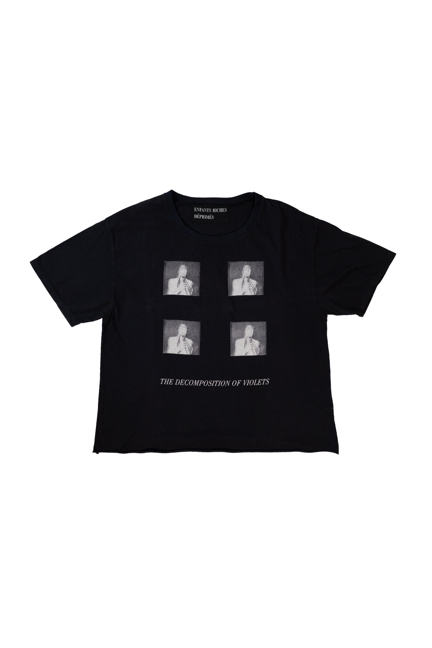 The Decomposition Of Violets T-Shirt